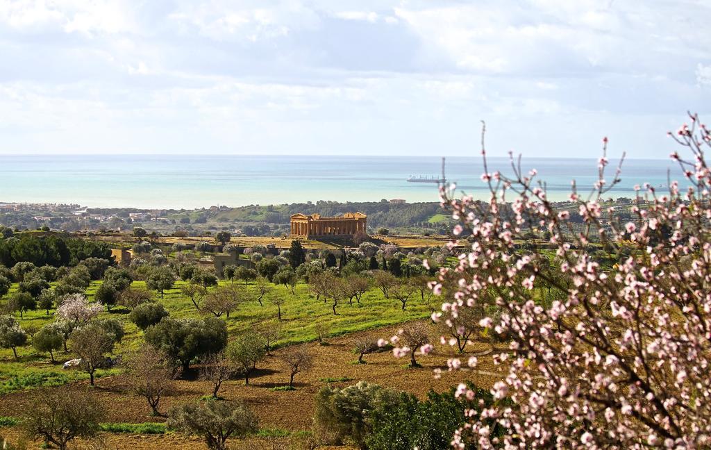 Bed and Breakfast La Passeggiata Di Girgenti Agrigent Exterior foto